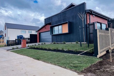 Photo of property in 55 Earp Crescent, Chartwell, Hamilton, 3210