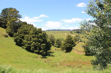 Photo of property in 74a Whananaki North Road, Whakapara, Hikurangi, 0181