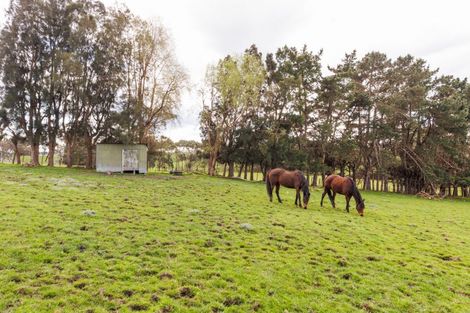 Photo of property in 161 Cemetery Road, Sanson, Palmerston North, 4479