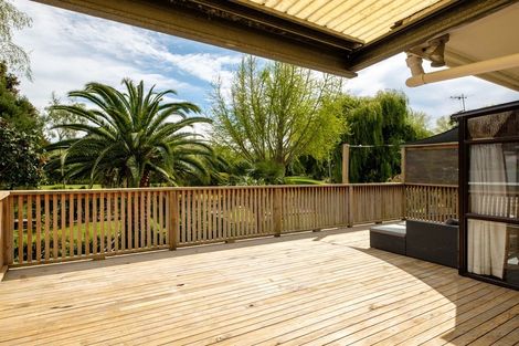 Photo of property in 6 Jellicoe Street, Mangapapa, Gisborne, 4010