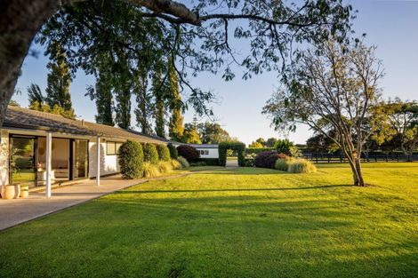 Photo of property in 48 Peake Road, Cambridge, Hamilton, 3283