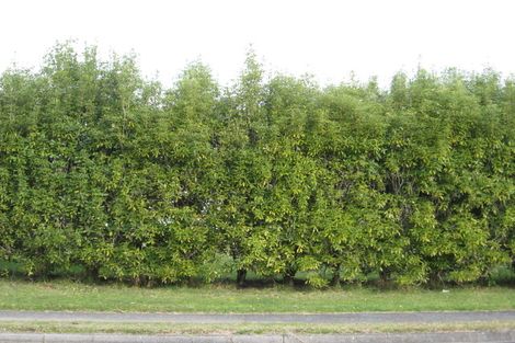 Photo of property in 109 Mckellar Place, Whangamata, 3620