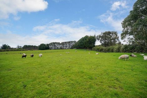 Photo of property in 339 Oteramika Road, Seaward Bush, Invercargill, 9871