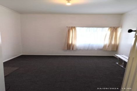 Photo of property in 24 Ireland Road, Mount Wellington, Auckland, 1060