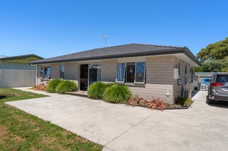 Photo of property in 12a Guy Avenue, Levin, 5510