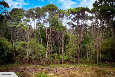 Photo of property in 328 Upper Harbour Drive, Greenhithe, Auckland, 0632