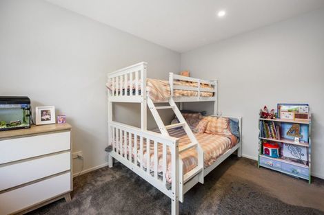 Photo of property in 22 Brooke Place, Alexandra, 9320