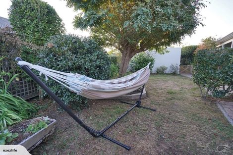 Photo of property in 101 Endeavour Avenue, Flagstaff, Hamilton, 3210