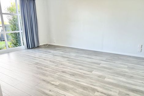 Photo of property in 516 Mount Albert Road, Mount Roskill, Auckland, 1042