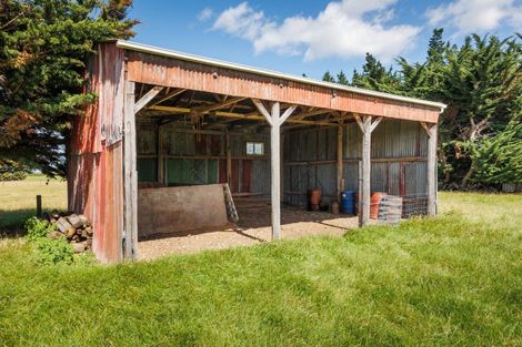 Photo of property in 226 Waughs Road, Bunnythorpe, Feilding, 4775