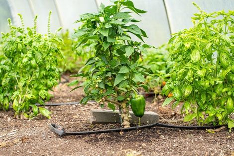 Photo of property in 3/1623 State Highway 14, Maungatapere, Whangarei, 0179