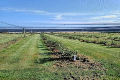 Photo of property in 1686 Waimate Highway, Makikihi, Waimate, 7978