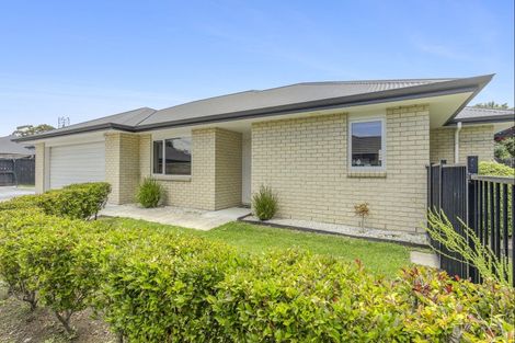 Photo of property in 6 Moore Street, Leamington, Cambridge, 3432