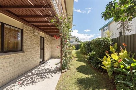 Photo of property in 23b Kulim Avenue, Otumoetai, Tauranga, 3110