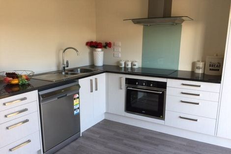 Photo of property in 1/215 Massey Street, Frankton, Hamilton, 3204