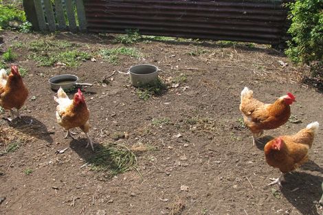 Photo of property in 116 Clifford Road, Eltham, 4322