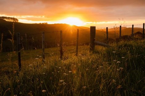 Photo of property in 307 Dill Road, Kaipara Flats, Warkworth, 0984