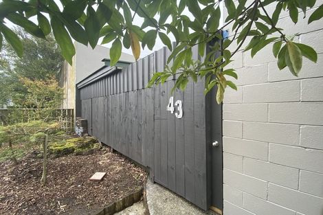 Photo of property in 43 Domett Street, Waitara, 4320