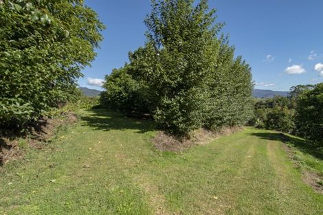 Photo of property in 268 Wright Road, Waiau Pa, Pukekohe, 2679