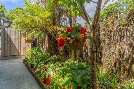 Photo of property in 24 Kereru Street, Waikanae, 5036