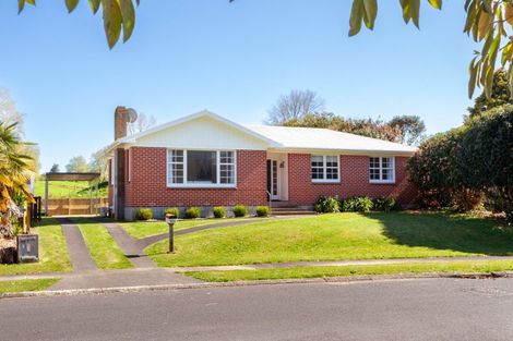 Photo of property in 106 Reservoir Street, Putaruru, 3411