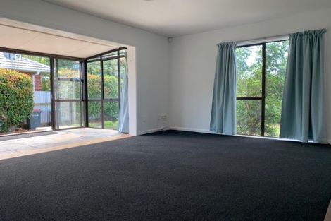 Photo of property in 17 Fusilier Street, Hoon Hay, Christchurch, 8025