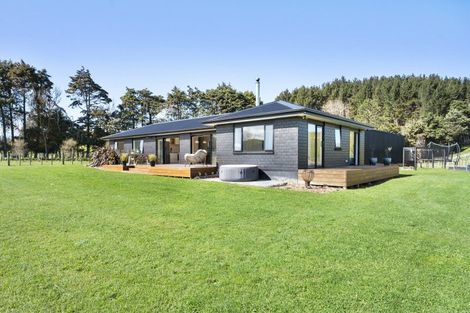 Photo of property in 336 Valley Road, Colyton, 4775