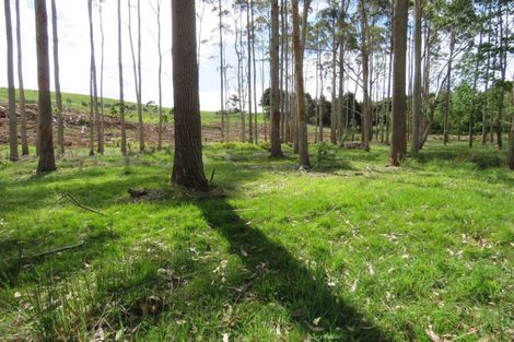 Photo of property in 59 Harbour View Rise, Mangonui, 0494