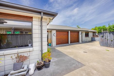Photo of property in 49a Avenue Road, Greenmeadows, Napier, 4112