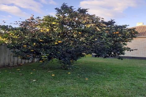 Photo of property in 39 Kenney Crescent, Fairfield, Hamilton, 3214