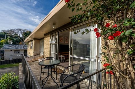 Photo of property in 66 Hazelwood Avenue, Dinsdale, Hamilton, 3204