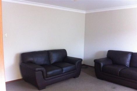 Photo of property in 36 Littlebourne Road, Roslyn, Dunedin, 9010