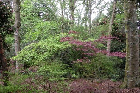 Photo of property in 38 Grammar Street, Kimbolton, 4777