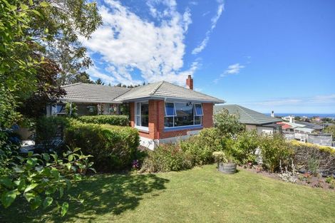 Photo of property in 234 Highcliff Road, Shiel Hill, Dunedin, 9013