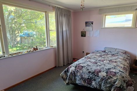 Photo of property in 29 Leicester Street, Terrace End, Palmerston North, 4410