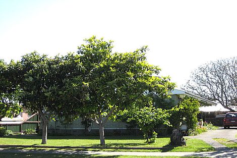 Photo of property in 150 Weld Street, Redwoodtown, Blenheim, 7201