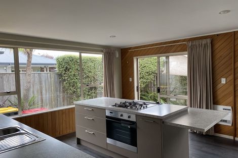 Photo of property in 17 Sumner Street, Spreydon, Christchurch, 8024