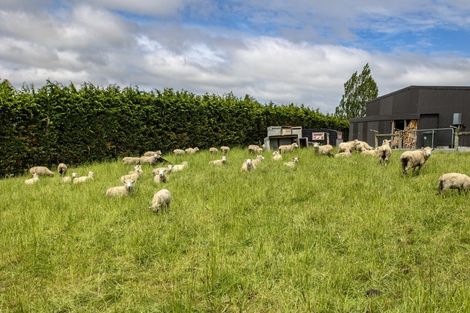 Photo of property in 61 Loburn Whiterock Road, Loburn, Rangiora, 7472