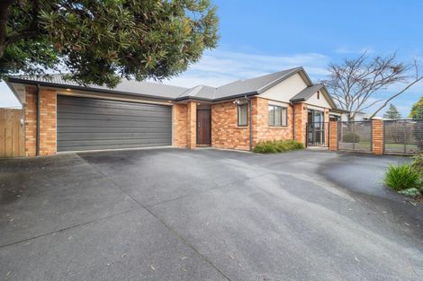 Photo of property in 16a Thompson Street, Leamington, Cambridge, 3432