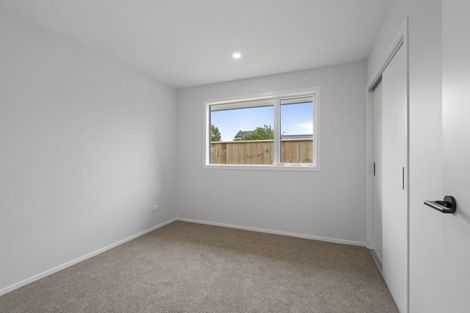 Photo of property in 20a Denbigh Street, Feilding, 4702