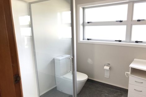 Photo of property in 42 Hastings Street, Wakari, Dunedin, 9010