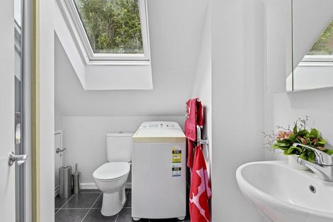 Photo of property in 20 Plunket Street, Kelburn, Wellington, 6012