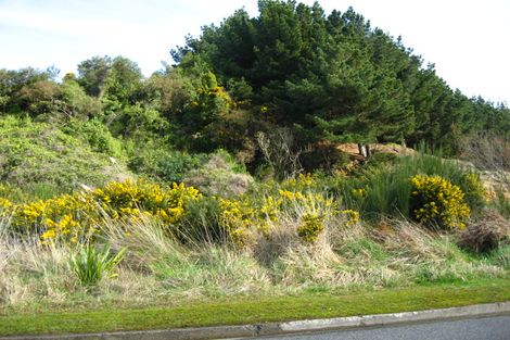 Photo of property in 1/56 Elizabeth Street, Bluff, 9814