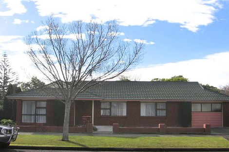 Photo of property in 29 Ihle Street, Terrace End, Palmerston North, 4410