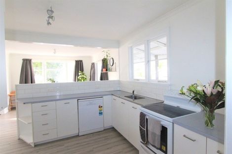 Photo of property in 93 Sedcole Street, Pahiatua, 4910