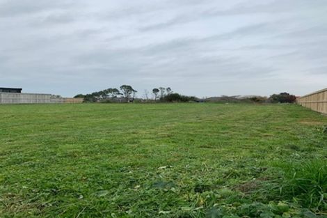 Photo of property in 51 Roy Hilton Drive, Flagstaff, Hamilton, 3210