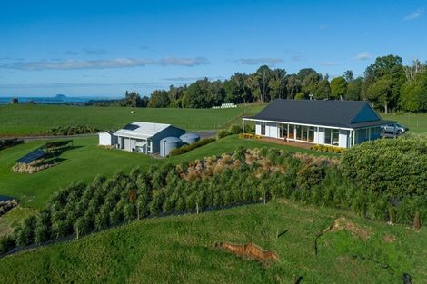 Photo of property in 854 Wright Road, Aongatete, Katikati, 3181