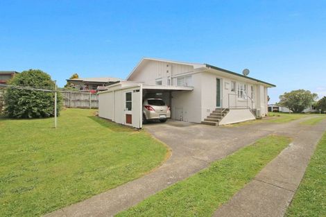 Photo of property in 55 Mcnair Road, Te Awamutu, 3800