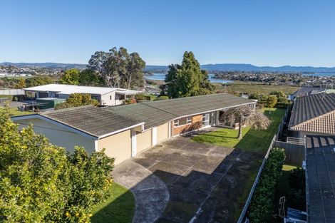 Photo of property in 430 Otumoetai Road, Otumoetai, Tauranga, 3110