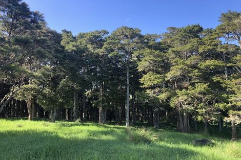 Photo of property in 504b Wairere Road, Maungaturoto, 0571